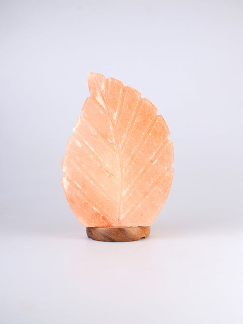Salt Lamp Leaf Shape