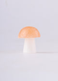 Selenite Mushroom | One Colour-Image 2