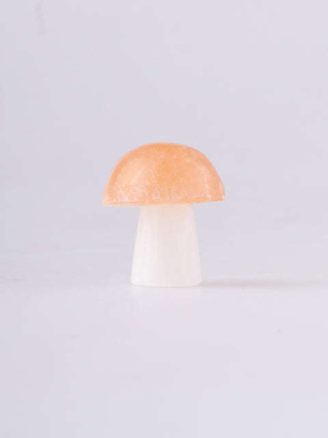 Selenite Mushroom