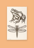 Semi Permanent Tattoo - Medium Set | Frog + Dragonfly-Image 1
