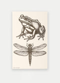 Semi Permanent Tattoo - Medium Set | Frog + Dragonfly-Image 2