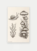 Semi Permanent Tattoo - Medium Set | Mushroom + Snail-Image 2