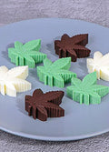 Silicone Mould Leaf green | One Colour-Image 2