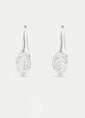 Sterling Silver Monstera Leaf Drop Earrings | Silver-Image 1