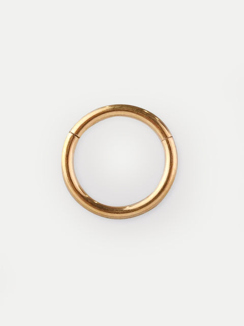 Titanium Plated Hinged Ring 16G