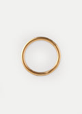 Titanium Plated Hinged Ring 16G | Gold-Image 3