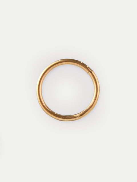 Titanium Plated Hinged Ring 16G
