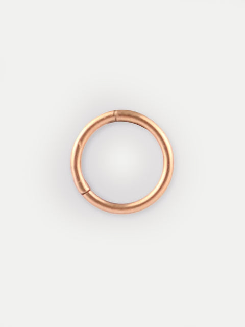 Titanium Plated Hinged Ring 16G