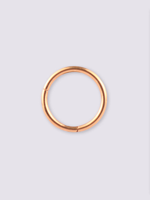 Titanium Plated Hinged Ring 16G