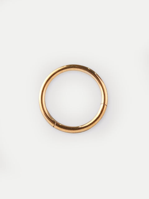 Hinged Rings