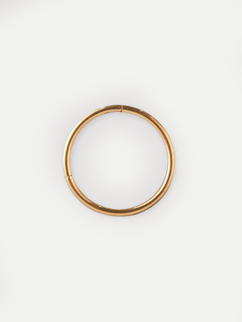 Titanium Plated Hinged Ring 18G