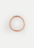 Titanium Plated Hinged Ring 18G | Rose Gold-Image 1