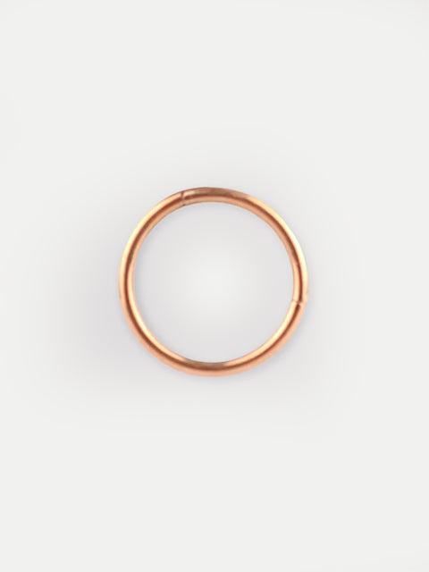 Titanium Plated Hinged Ring 18G