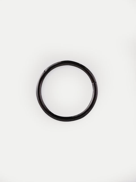 Titanium Plated Hinged Ring 20G