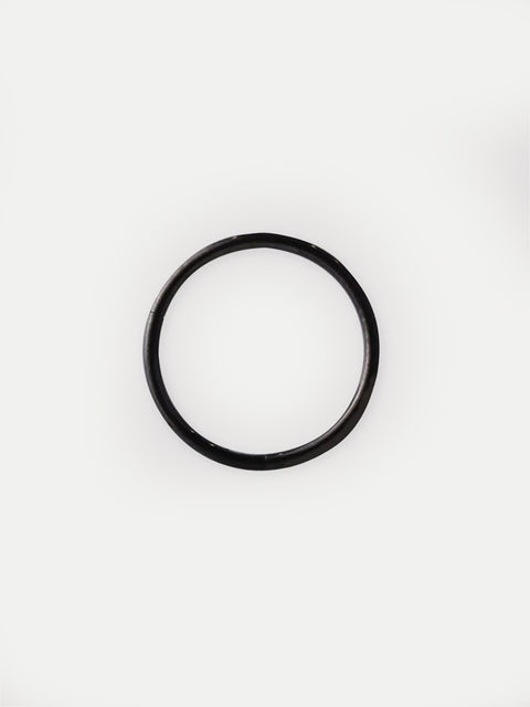 Titanium Plated Hinged Ring 20G