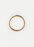 Titanium Plated Hinged Ring 20G | Gold-Image 1