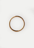 Titanium Plated Hinged Ring 20G | Gold-Image 2
