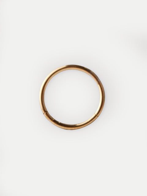 Titanium Plated Hinged Ring 20G