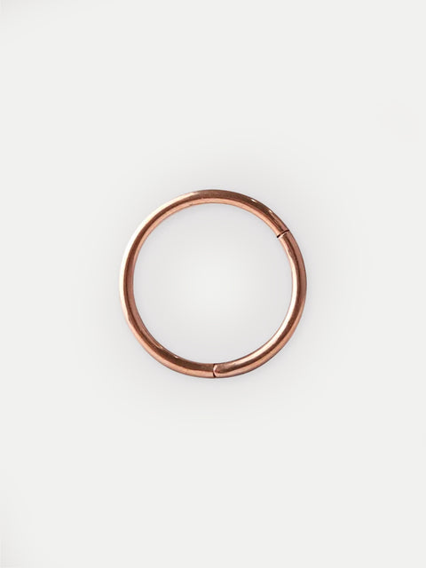 Titanium Plated Hinged Ring 20G
