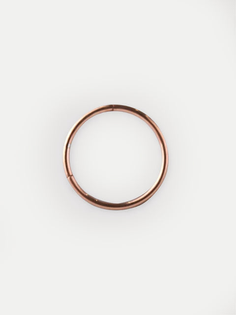 Titanium Plated Hinged Ring 20G