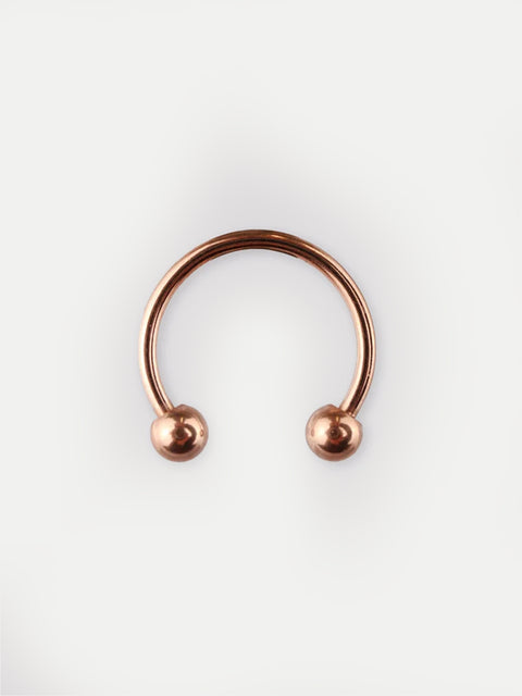 Titanium Plated Horseshoe 18G