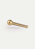 Titanium Plated Plain Ball Nose Bone 20G | Gold-Image 1