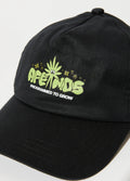 Vibrations - Hemp Cap | Black-Image 4