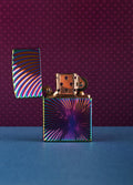 Windproof Metal Lighter Refillable | Rainbow Disco-Image 1
