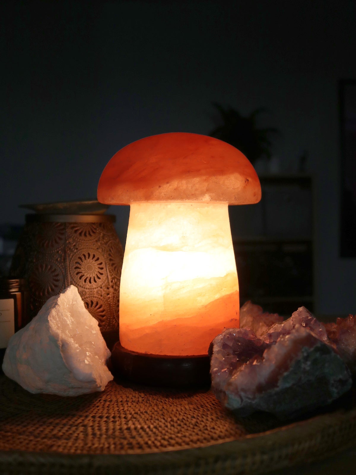 Mushroom salt store lamp