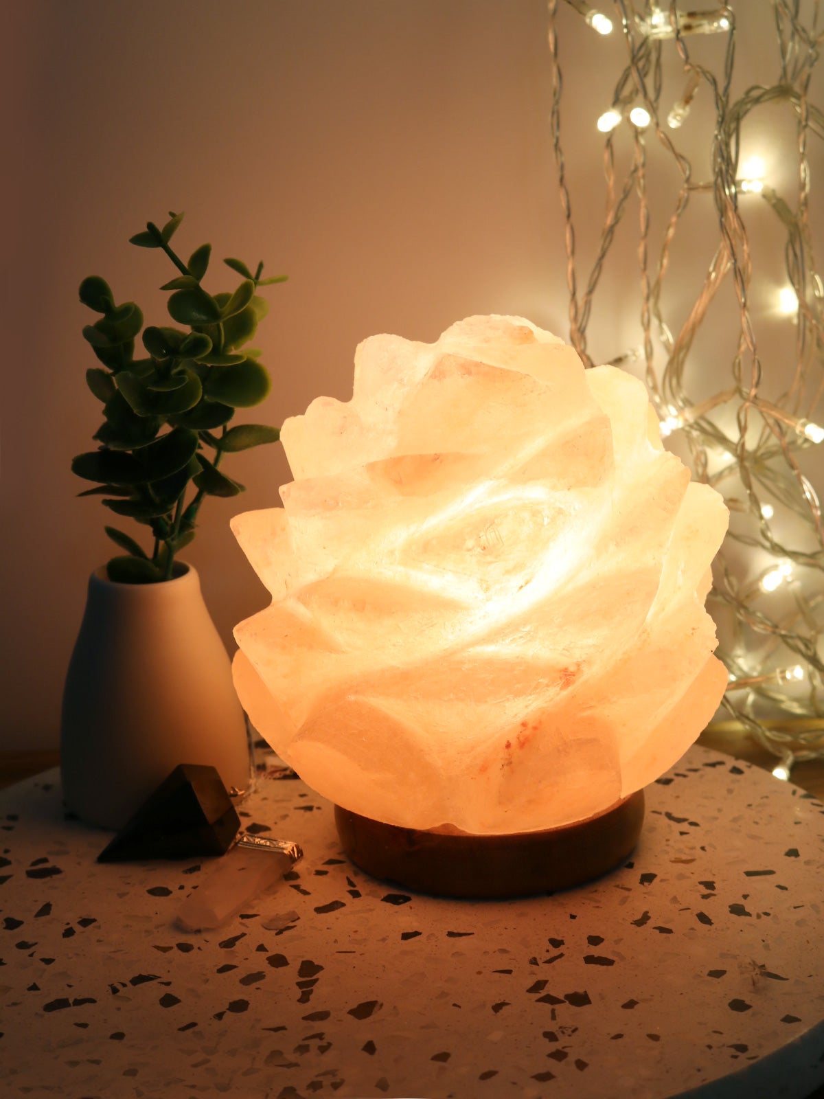 succulent himalayan salt lamp